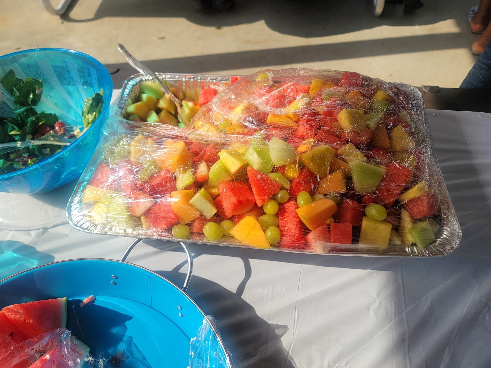 Annual Association Picnic August 2023